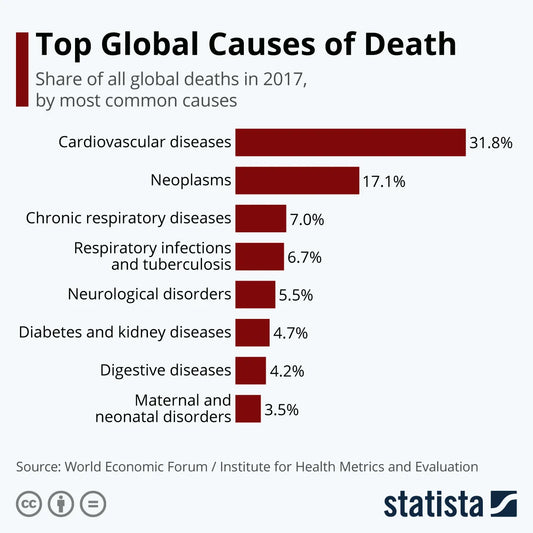 Why I think this is at the root cause of most major disease