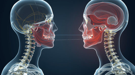 Are Dental Biomechanics Connected to Body Alignment?