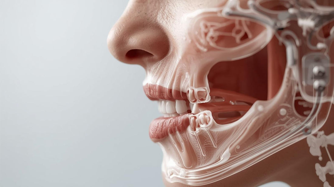 Jaw Mechanical Function vs. Tooth Appearance: Why They're Different Goals