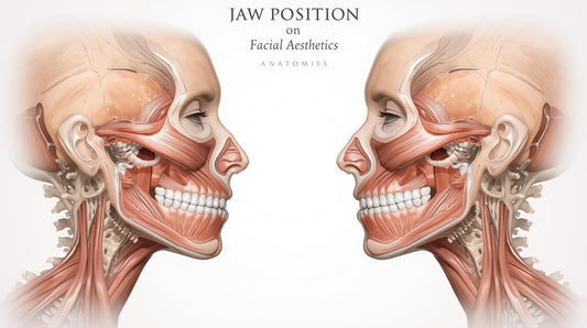 The Role of Jaw Position in Facial Aesthetics