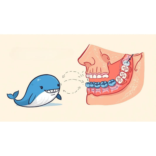 The Curve of Spee Explained Like You’re 12 (and How a Mouthguard Interacts with It)