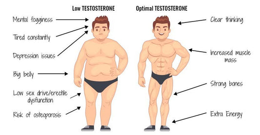 The Testosterone Decline in Men