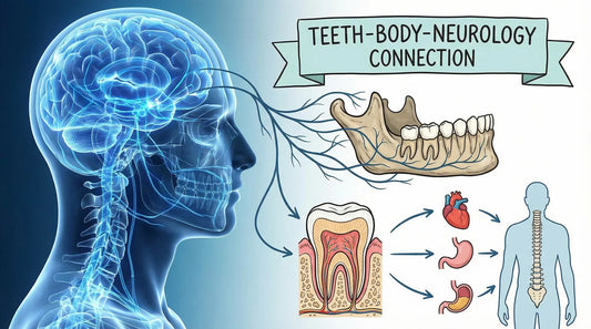 So why do the teeth relate to your body and neurology?