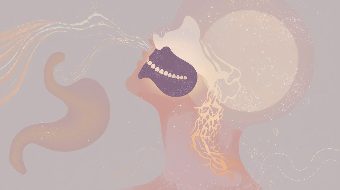 Jaw Tension and Eating: Practical Considerations for People Who Grind