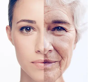 Root cause of aging